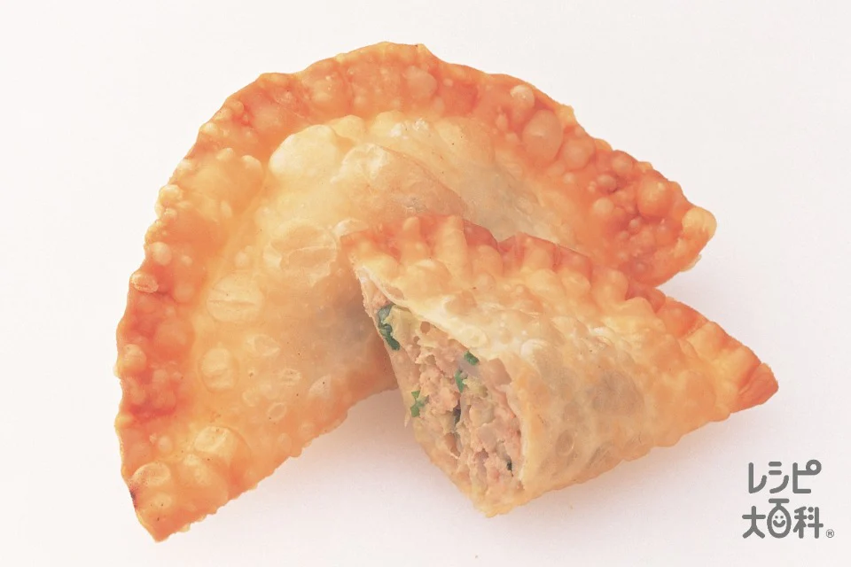 揚げギョーザ