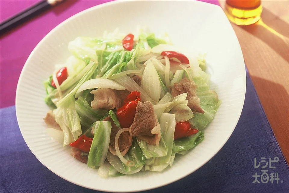 彩り肉野菜炒め
