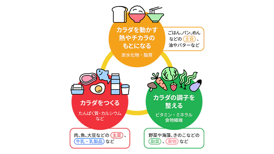 カラダを動かす熱やチカラのもとになる。炭水化物・脂質。ごはん、パン、めんなどの主食、油やバターなど。カラダの調子を整える。ビタミン・ミネラル・食物繊維。野菜や海藻、きのこなどの副菜、果物など。カラダをつくる。たんぱく質・カルシウムなど。肉、魚、大豆などの主菜、牛乳・乳製品など。