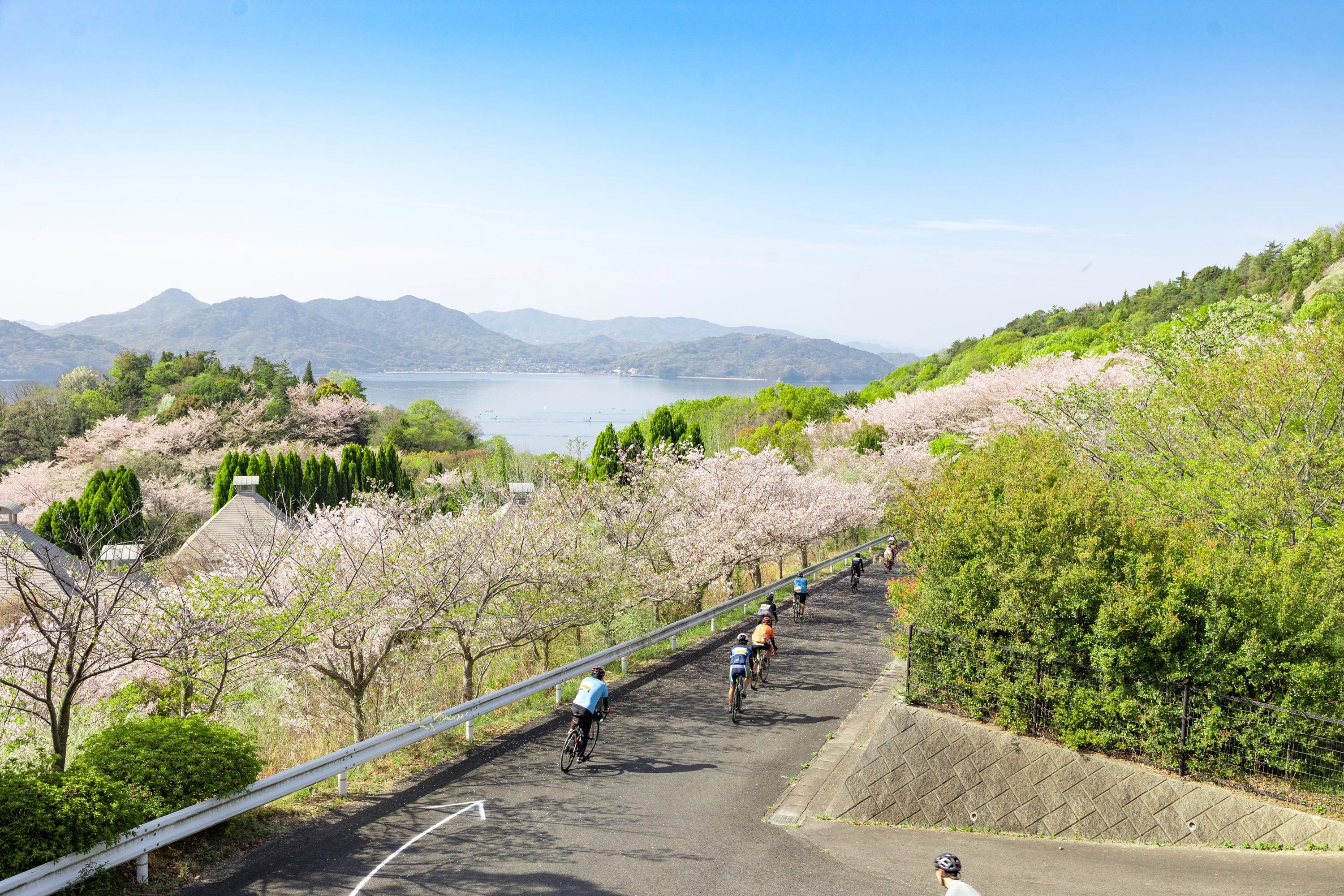 絶景だけじゃない。
旅好きがハマる、しまなみ海道の
おいしいサイクリングへ。