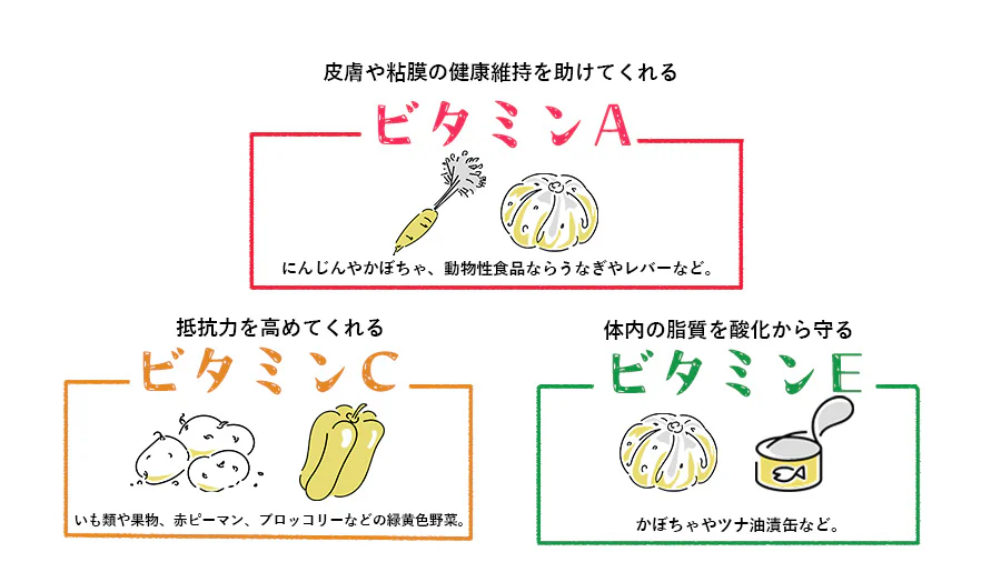 皮膚や粘膜の健康維持を助けてくれるビタミンA にんじんやかぼちゃ、動物性食品ならうなぎやレバーなど。抵抗力を高めてくれるビタミンC いも類や果物、赤ピーマン、ブロッコリーなどの緑黄色野菜。体内の脂質を酸化から守るビタミンE かぼちゃやツナ油漬缶など。