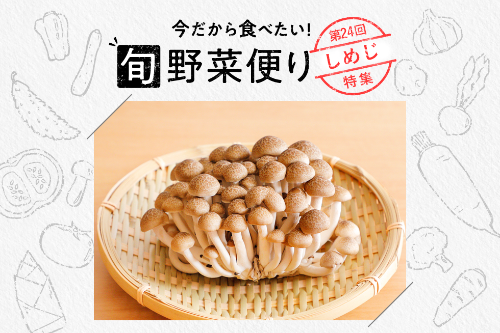 magazine_AP235_main.jpg?fm=jpg