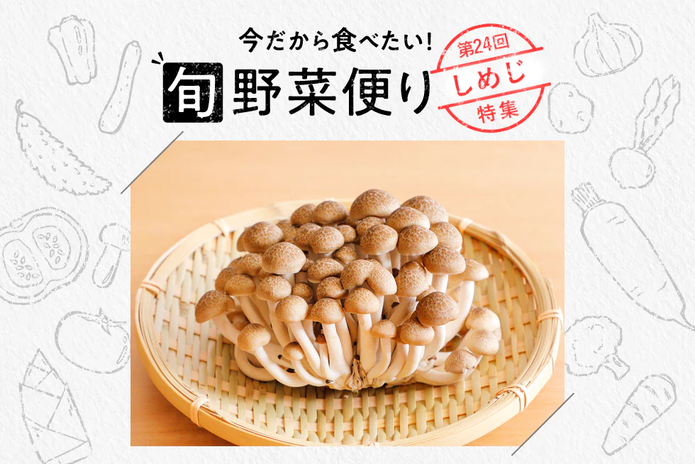 旬野菜便り♪
うま味あふれる!
イチオシしめじレシピ