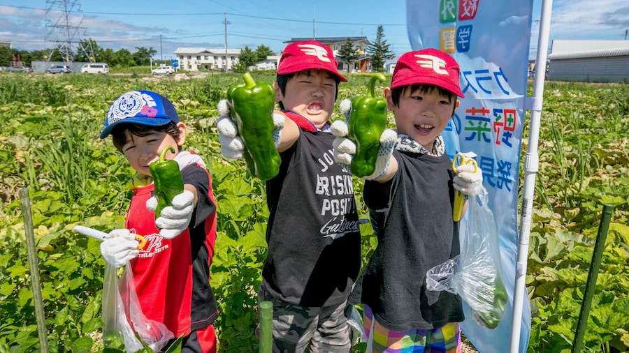 いつもスーパーでみかけるあの野菜を、自分で収穫＆調理！