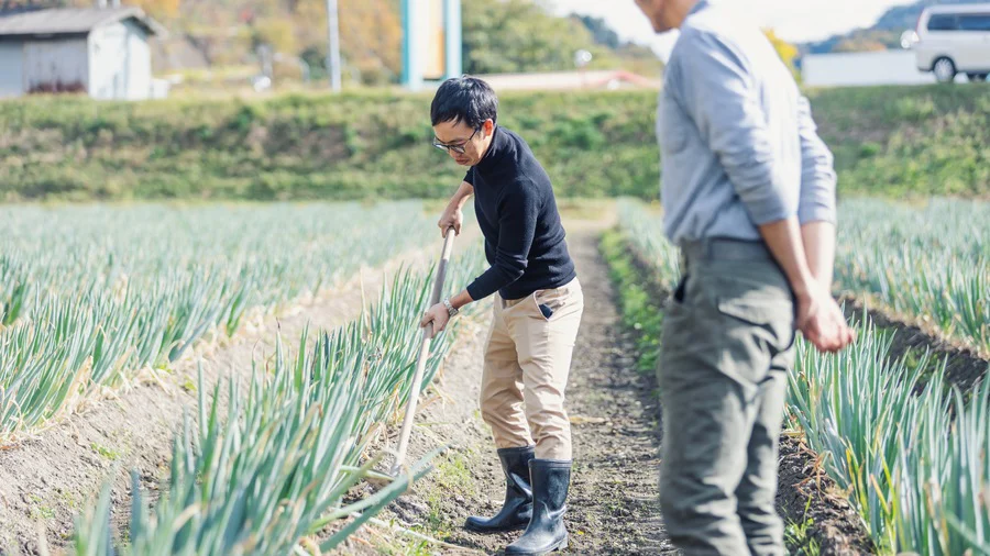 農薬を使わず、手作業で育てる。提携農家・向さん