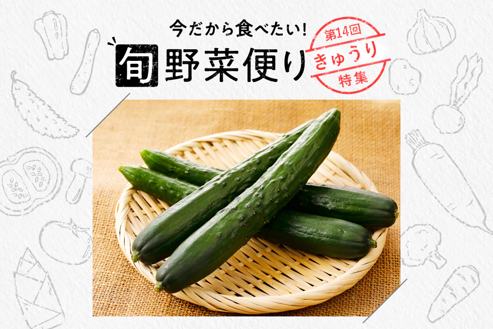 旬野菜便り♪
きゅうりの切り方と保存術◎
切り方別おすすめレシピも！
