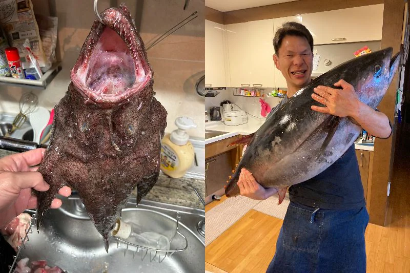 左：あんこう　右：今までで一番大きい買い物（まぐろ42kg）