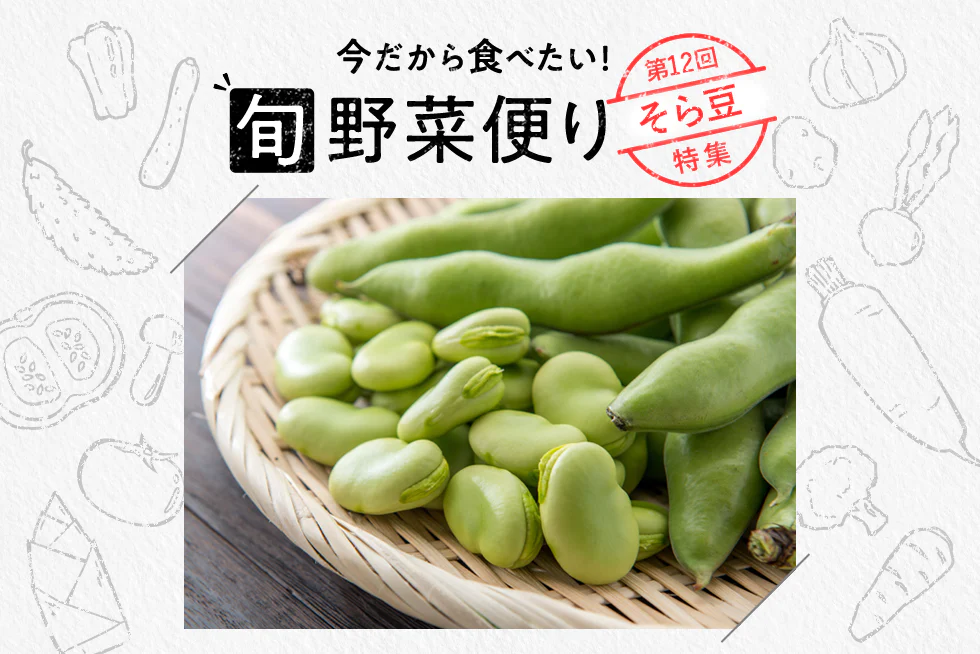 旬野菜便り♪
そら豆のゆで方＆食べ方！
おいしく春の味覚を楽しむ