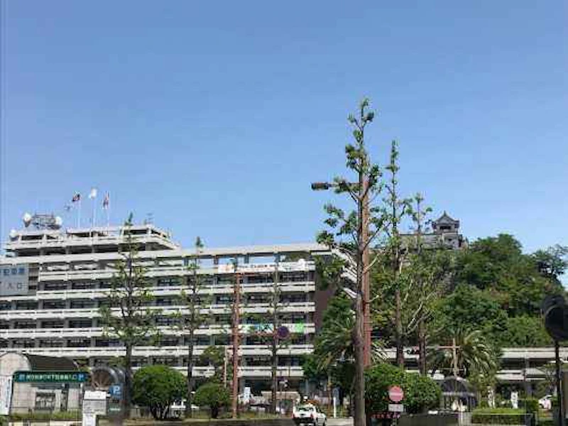 高知は快晴です。