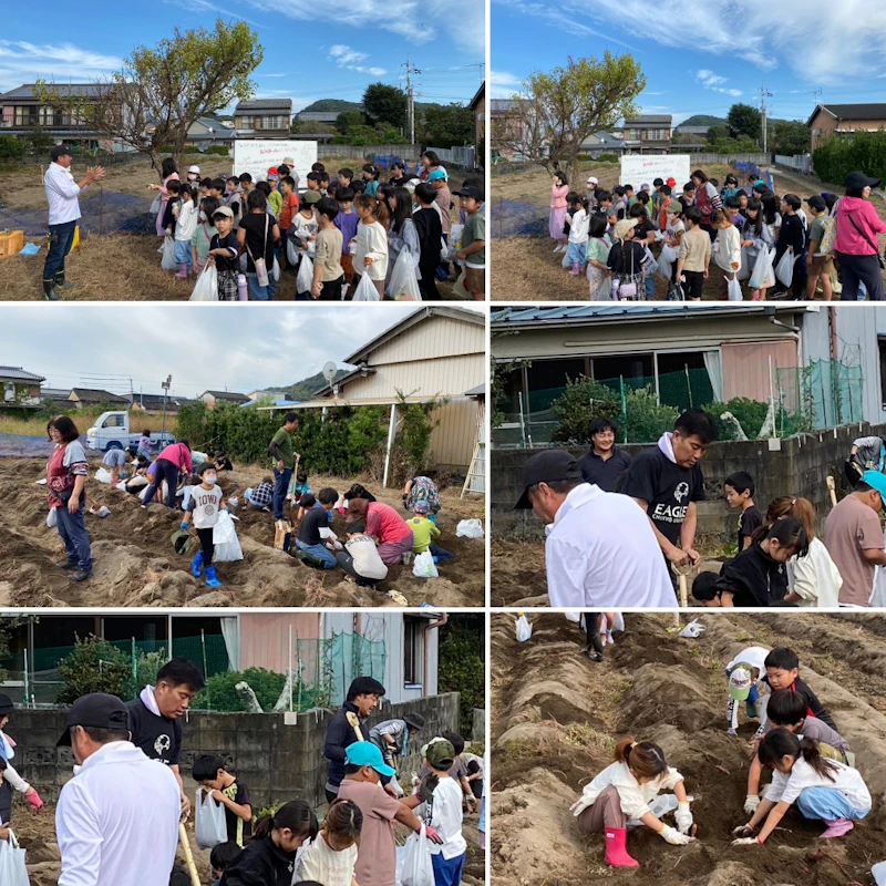 11/5 「お芋プロジェクト」に参加‼️