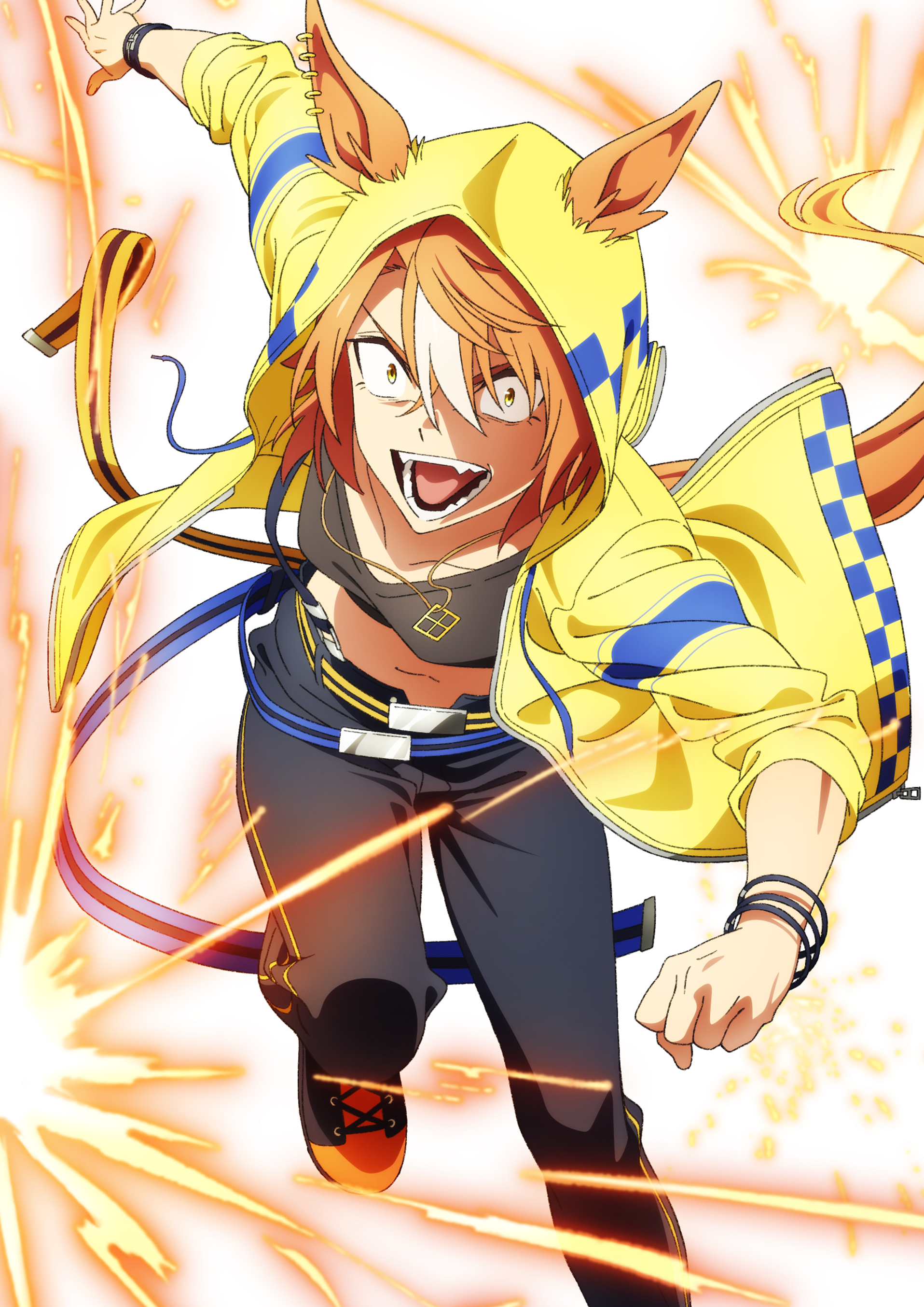 Blu-ray | アニメ『ウマ娘 シンデレラグレイ』公式サイト