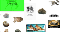 Webサイトから商品開発までトータルブランディングのサムネイル