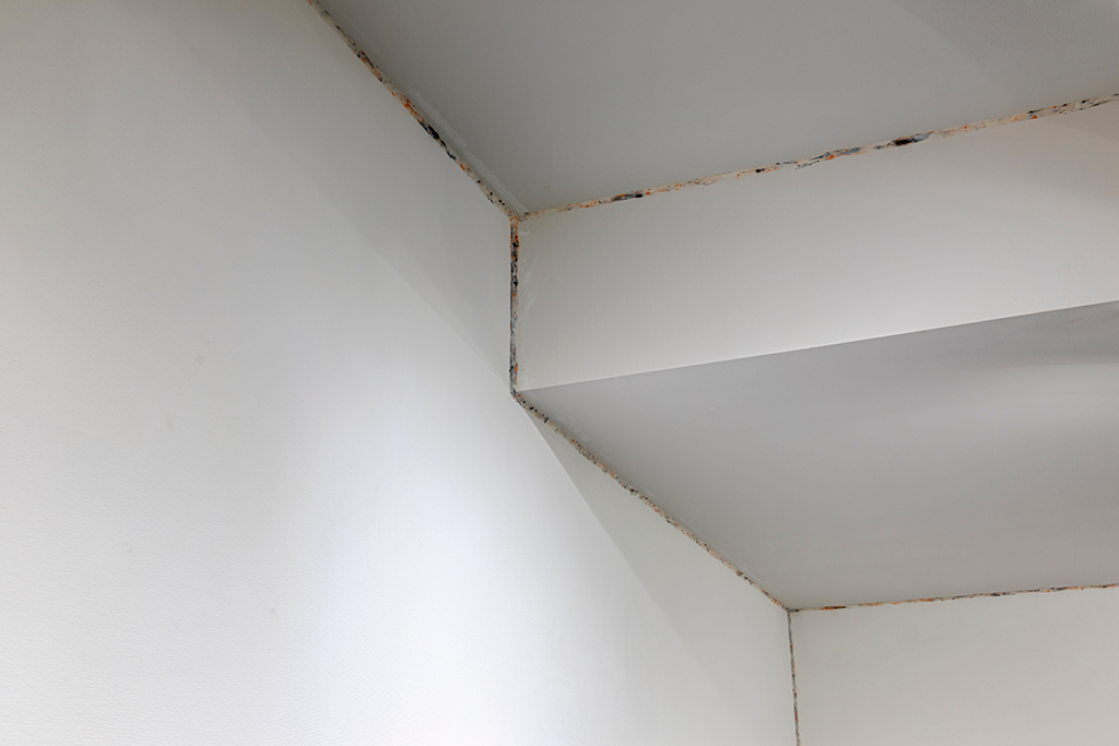 Artwork /  THE SLIMY ROOM1
