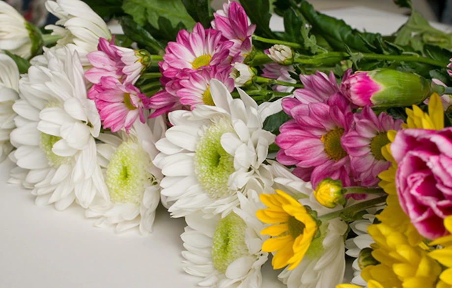 故人に捧げる献花とは？葬儀に用いる花の区別、宗教別の対応を解説