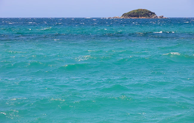 海洋散骨の気になる費用や注意点は？散骨までの流れを徹底解説