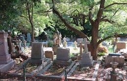 日本で土葬はできるのか？特徴やメリット・デメリット・土葬する方法を解説