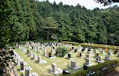 創価学会の墓地とは？種類・費用相場・お墓参り・納骨方法を解説
