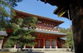 遺影はお寺で処分すべき？3つの処分方法や費用相場・保管アイデアも