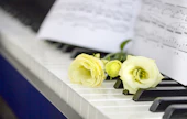 出棺時の音楽は何を流すべき？葬儀で流すタイミングや選ぶポイントも紹介