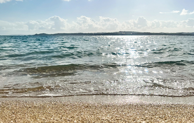 遺骨を海にまく海洋散骨とは？方法・法律や条例・注意点を解説｜小さなお葬式