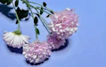 仏壇に造花をお供えしてもよい？覚えておきたい仏花のマナー