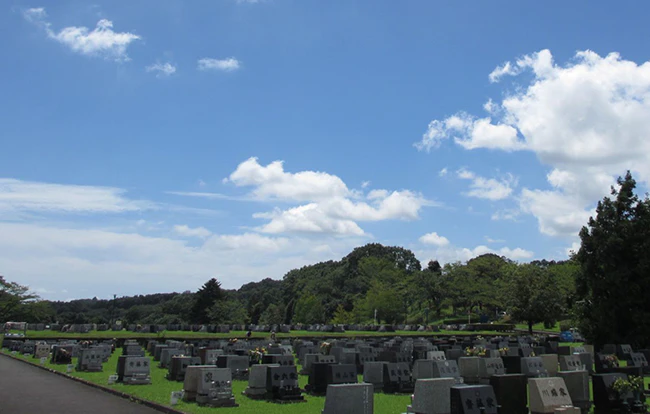 共同墓地にはデメリットはあるの？費用や選ぶポイントなど基礎知識を解説