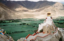 鳥が遺体を食べる葬儀！？チベットの「鳥葬(ちょうそう)」とは？