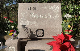 墓石に花のイラストをつける手順とおすすめの花の種類や掘り方