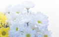 供花とはどんな花？正しい読み方や贈り方のマナーを徹底解説！