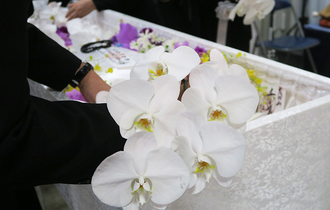 火葬式 直葬 でのお花のマナーを紹介 花入れできる花の種類とは