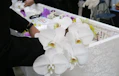 火葬式（直葬）でのお花のマナーを紹介！花入れできる花の種類とは？