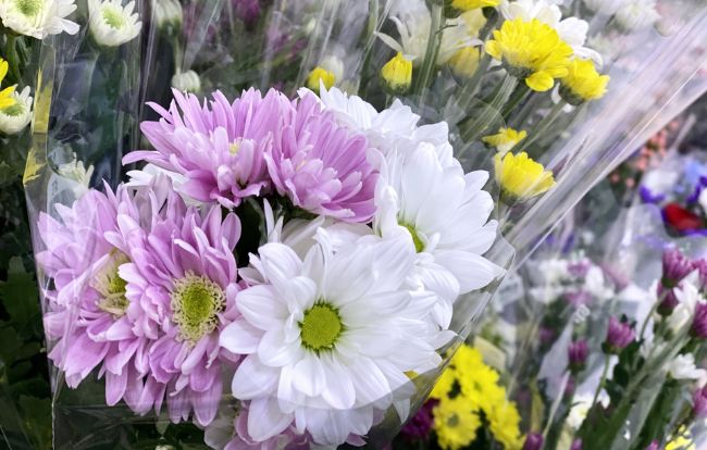 浄土真宗の仏壇にお供えする花とは？おすすめの花や注意点を解説