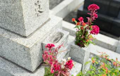 埋葬料の相場と費用を抑えるための助成金の申請方法
