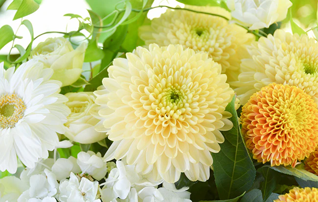 出棺の際の花入れの儀とは？入れていい花や副葬品は？流れまで徹底解説