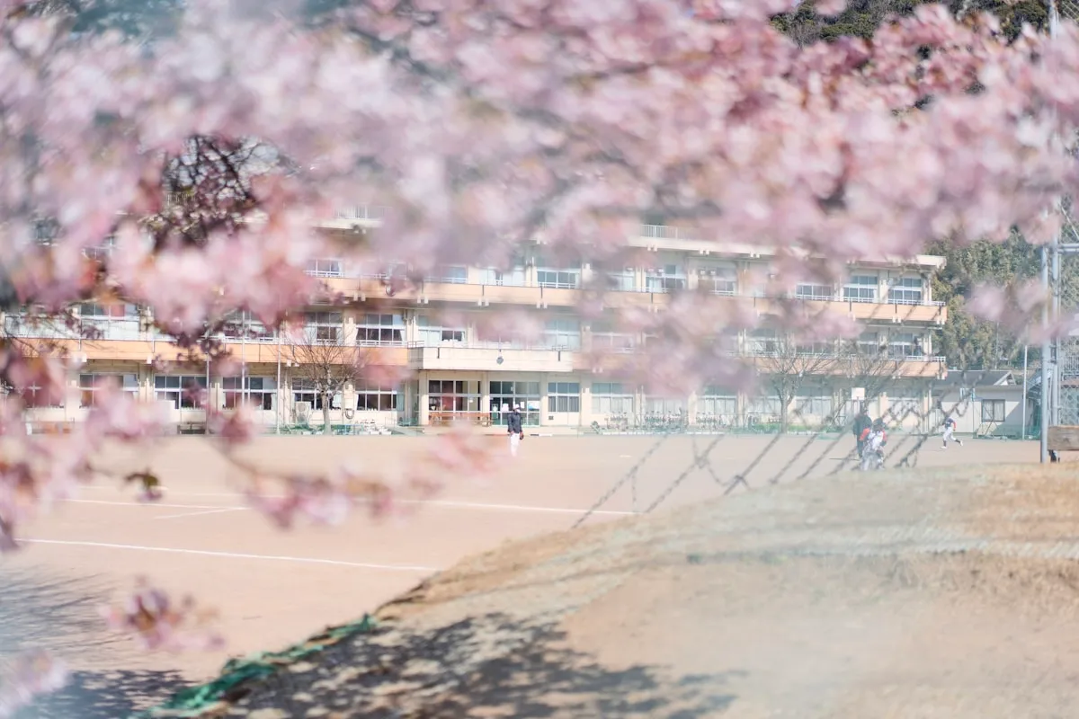 学校法人・社会福祉法人が運営する園舎のイメージ