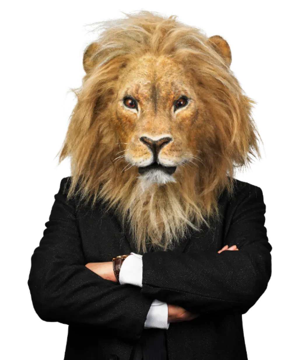 M&Aキャピタルパートナーズ 公式トップページのキービジュアル