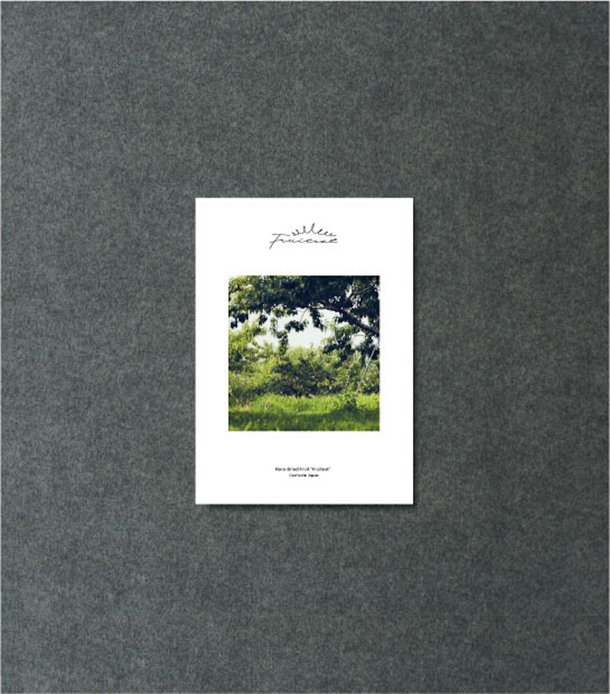 Creative of
Brand Book