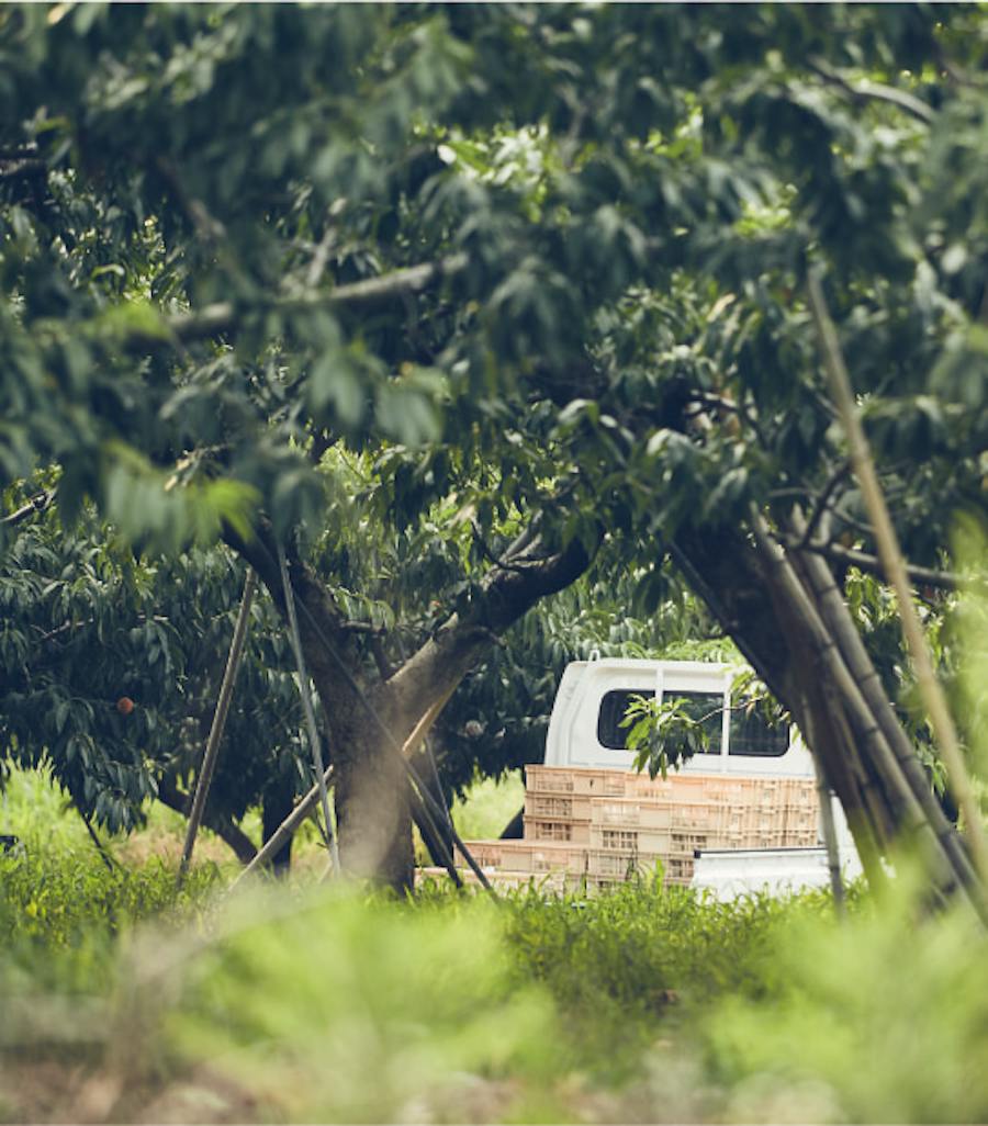 Farmer with
Truck
