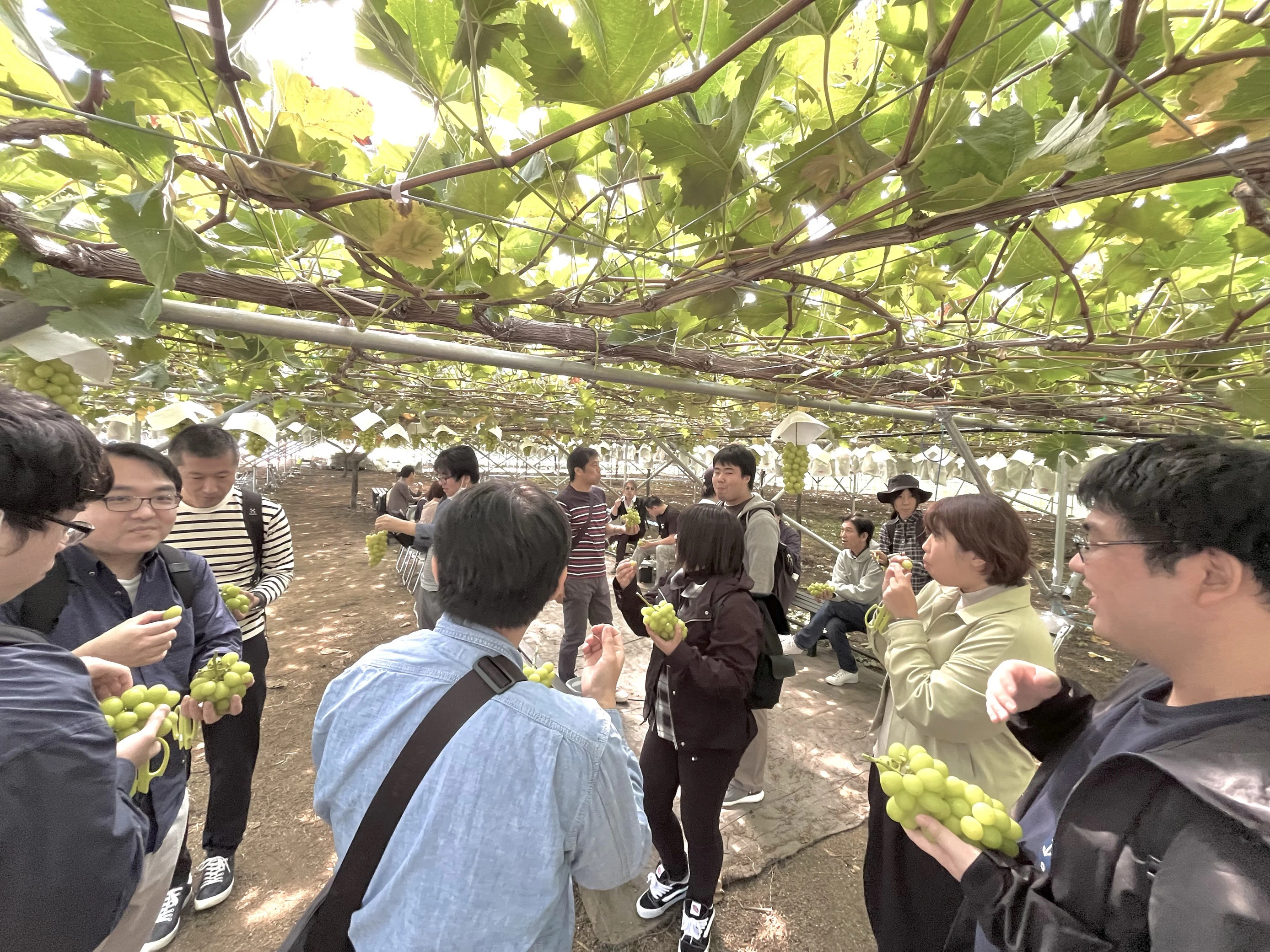 コミュニケーションの場の写真