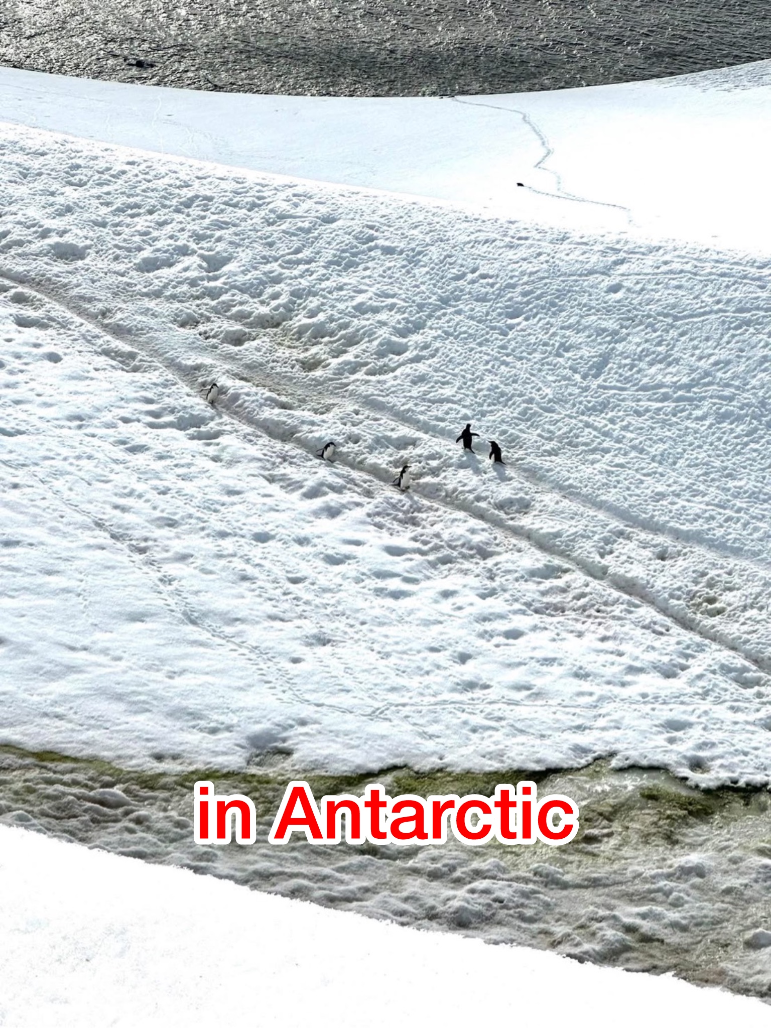 2025年を振り返って