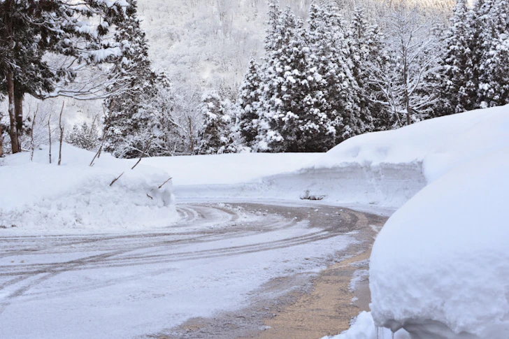 雪が積もった道