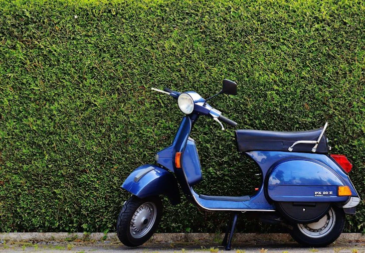 植物でできた美どり色の壁の前に駐車された、青色の原付バイク