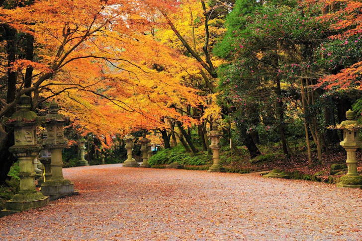 香取市、香取神宮