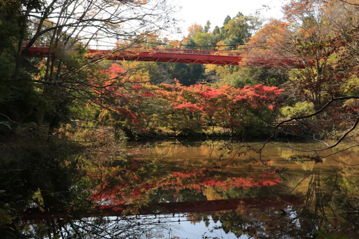 千葉市、泉自然公園