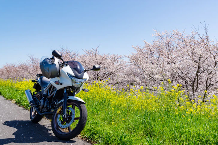 春のツーリングイメージ