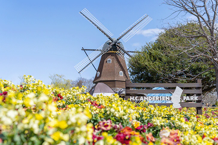 風車と花の写真