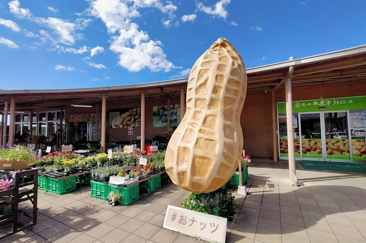 道の駅「木更津うまくたの里」