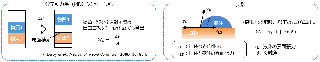 分子動力学シミュレーションによる界面の親和性・接着性解析
