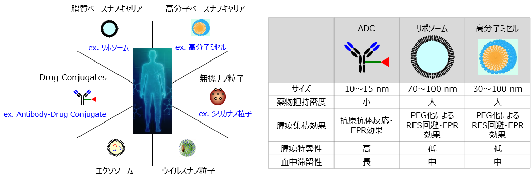 DDSキャリアの分析・評価への取り組み