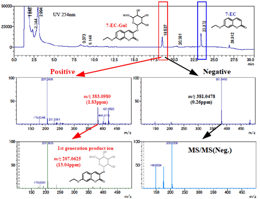 医薬品の代謝物検索